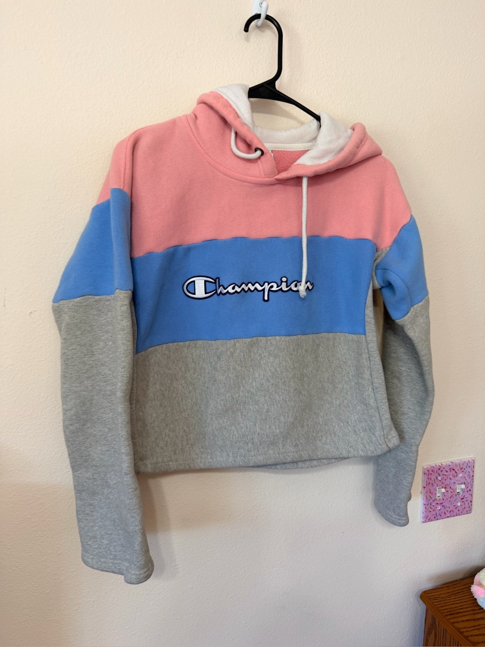 Champion Reverse Weave cropped hoodie size small